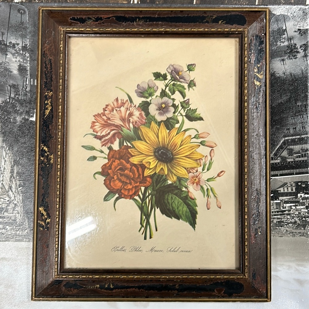 Vintage print flower with original vintage wood frame